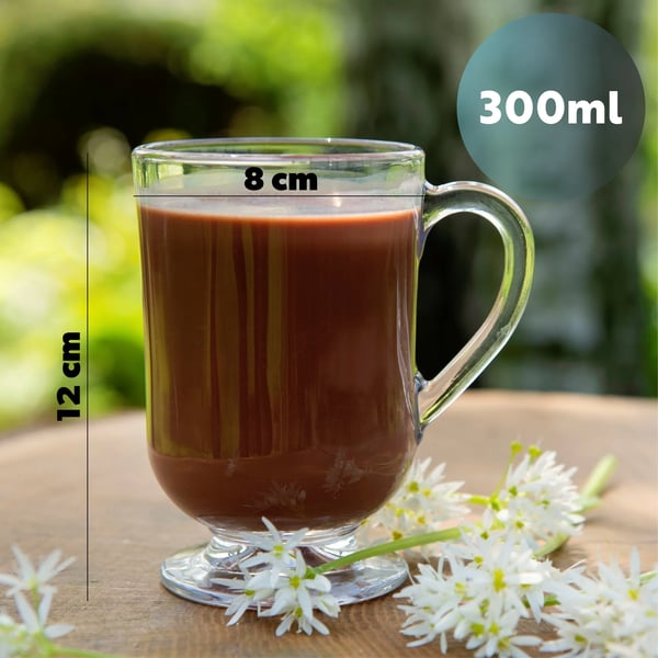Kaffeglas til latte og te - Glaskrus - Sæt 12 stk - 300 ml - Med hank - Transparent