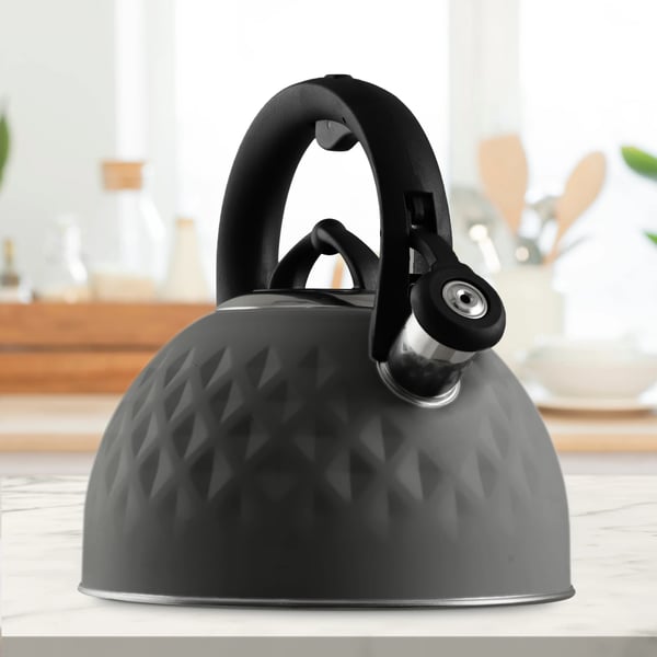 Vandkedel - Komfurkedel - 2,5 L - Stål - Induktion & gas - Med fløjte - Ergonomisk hank - Traditionelt design
