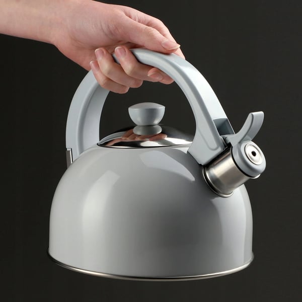 Fløjtekedel - Vandkedel - Til induktion og gas - Kapacitet 1,7 l - Traditionelt design
