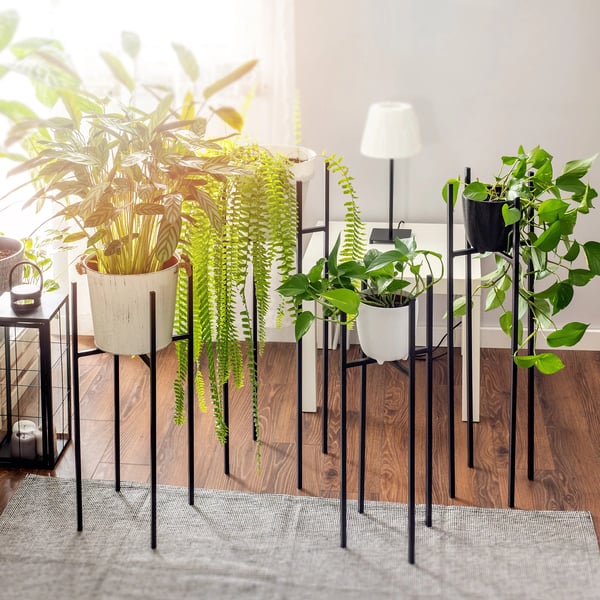 Plantestativ - Blomsterstander i metal - Højde 67 cm - Til stue - Indendørs
