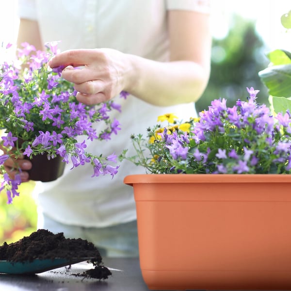 Altankasse - Vindueskasse 40 cm - Til blomster og krydderurter - Udendørs