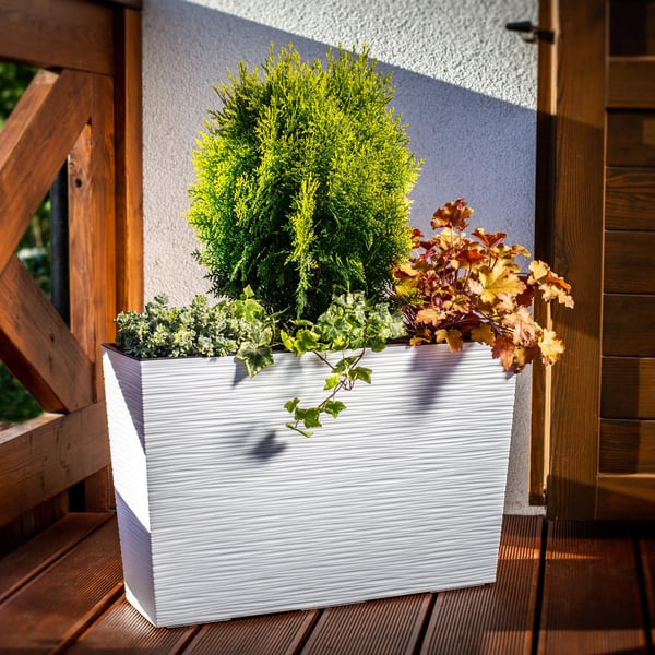 Blomlåda - Rektangulär planteringskruka med insats - 19x56 cm - Vit