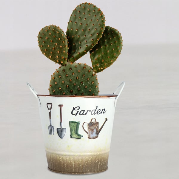 Blomsterpotte Urtepotte - Donk - Diameter 12 cm - Lille