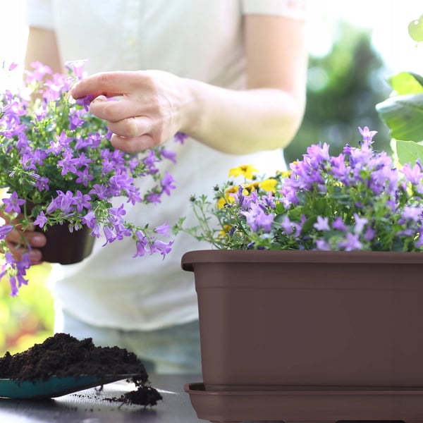 Balkonglåda - Blomlåda med handtag - Längd 40 cm - Brun