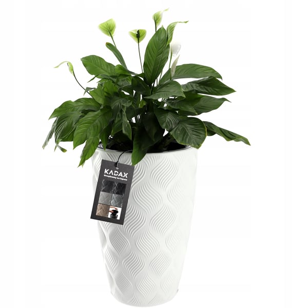 Havekrukke - Urtepotte - Med indsats - 48,5 cm - Hvid