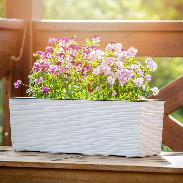 Altankasse - Blomsterkasse - Med indsats - 19 x 56 cm - Hvid