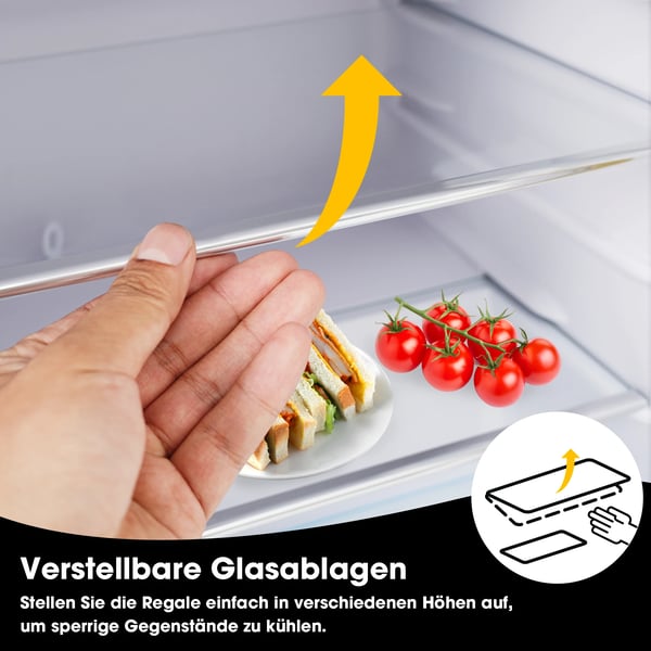 Minikøleskab - Enkeltlåge - Kapacitet 72 L - Fryser 21 L - Temperatur −27 til 13 °C - AC, EU-stik - Til bil og hjem - LED-lys - Sort