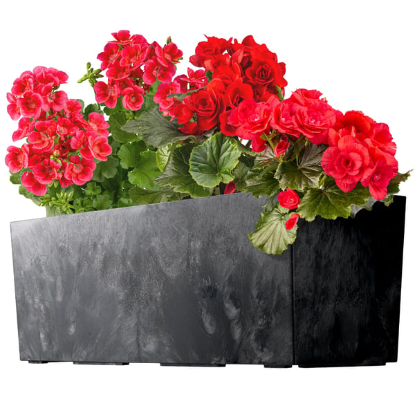 Altankasse - Blomsterkasse - Størrelse 56 cm - Med indsats - Til blomster og planter - Vindue & altan