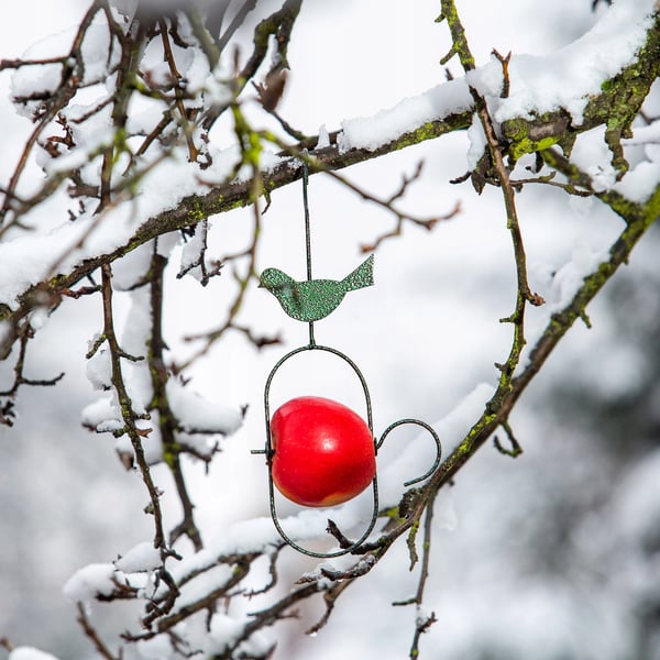 Lintujen ruokinta-automaatti - Ripustettava syöttölaite - Ruostumaton teräs - 31 cm