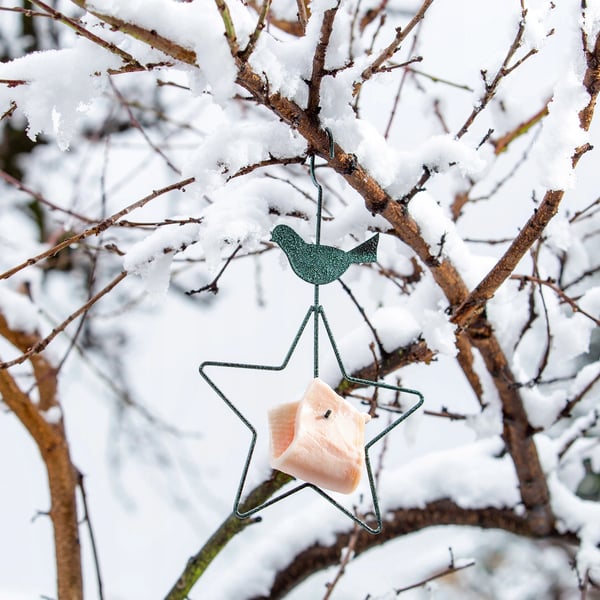 Lintujen ruokinta-automaatti - Riippuva malli - Ruostumaton teräs - Pituus 30 cm - Linturuoalle - Ulkokäyttöön