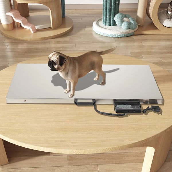 Digital dyrevægt - bænkvægt - Kapacitet 300 kg - Rustfrit stål - LCD-display - Til hunde, katte og store dyr - Batteri medfølger ikke