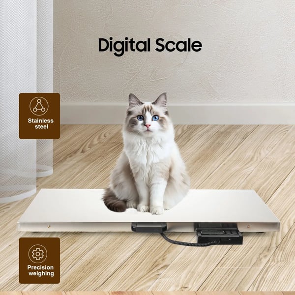 Digital dyrevægt - bænkvægt - Kapacitet 300 kg - Rustfrit stål - LCD-display - Til hunde, katte og store dyr - Batteri medfølger ikke