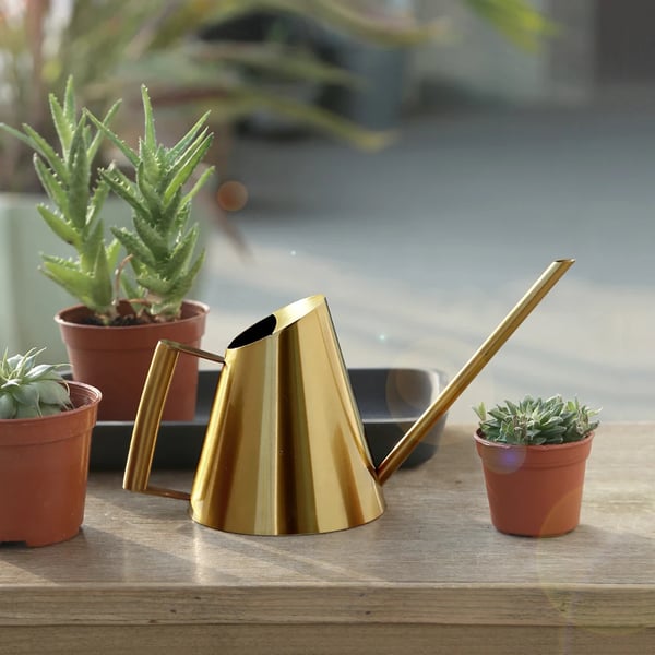 Vandkande - Lang tud - Til stueplanter - Rustfrit stål 201 - Kapacitet 1,3 l - Guld