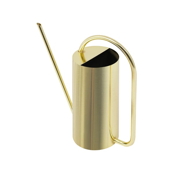 Vattenkanna - 201 Rostfritt Stål - 1,4 L Kapacitet - Lång Pip - För Inomhusväxter - 10 cm Bottendiameter - Vit