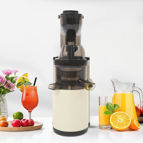 Spiral Koldpresser - Slowjuicer - 8 cm Fyldningsrør - 500 ml Kapacitet - Dobbelt Udløb - ABS - 220V EU-stik - Hvid