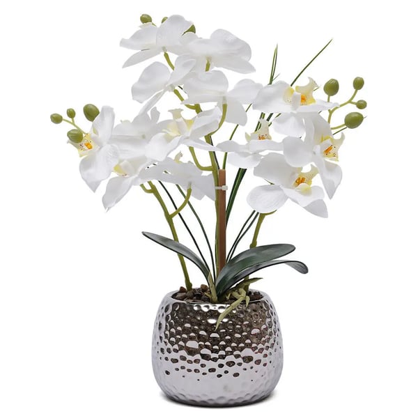 Kunstig Phalaenopsis Orkidé - Potteplante - Realistisk, Keramikkrukke, Vedligeholdelsesfri, Indendørs, Borddekoration, Indflyttergave - Hvid