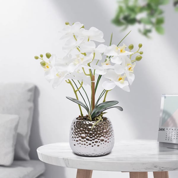 Kunstig Phalaenopsis Orkidé - Potteplante - Realistisk, Keramikkrukke, Vedligeholdelsesfri, Indendørs, Borddekoration, Indflyttergave - Hvid