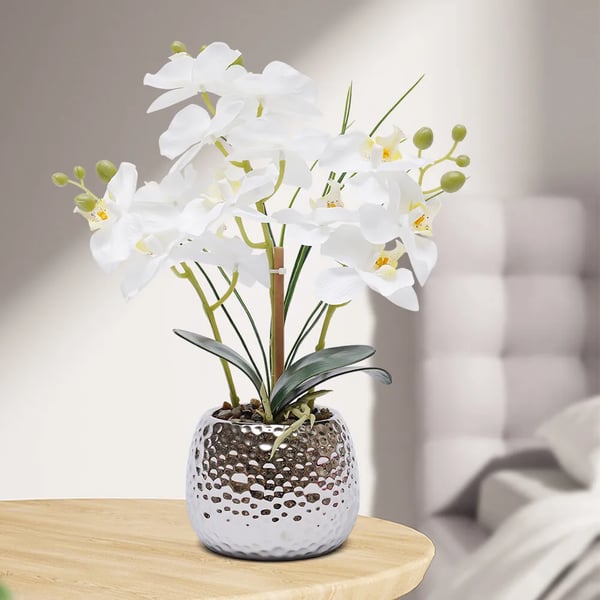 Kunstig Phalaenopsis Orkidé - Potteplante - Realistisk, Keramikkrukke, Vedligeholdelsesfri, Indendørs, Borddekoration, Indflyttergave - Hvid