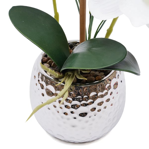 Kunstig Phalaenopsis Orkidé - Potteplante - Realistisk, Keramikkrukke, Vedligeholdelsesfri, Indendørs, Borddekoration, Indflyttergave - Hvid