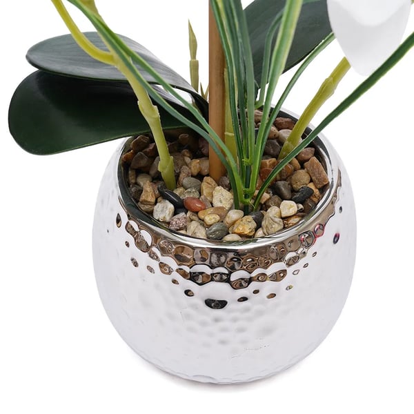 Kunstig Phalaenopsis Orkidé - Potteplante - Realistisk, Keramikkrukke, Vedligeholdelsesfri, Indendørs, Borddekoration, Indflyttergave - Hvid