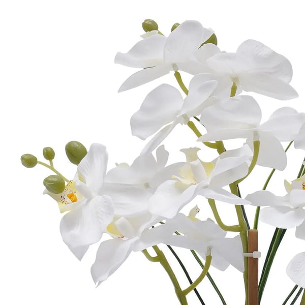 Kunstig Phalaenopsis Orkidé - Potteplante - Realistisk, Keramikkrukke, Vedligeholdelsesfri, Indendørs, Borddekoration, Indflyttergave - Hvid