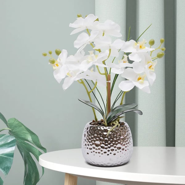 Kunstig Phalaenopsis Orkidé - Potteplante - Realistisk, Keramikkrukke, Vedligeholdelsesfri, Indendørs, Borddekoration, Indflyttergave - Hvid