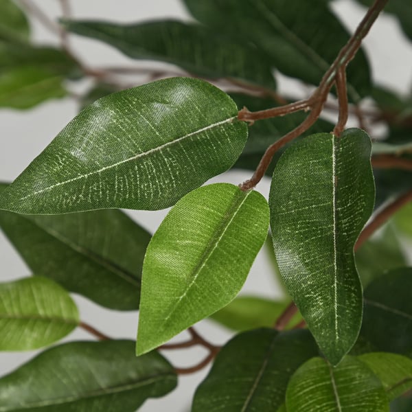 Konstgjord ficus - Träd i kruka - 150 cm - 1008 blad - Med mossa - Golvplacering utomhus - Grön