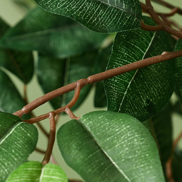 Konstgjord ficus - Träd i kruka - 150 cm - 1008 blad - Med mossa - Golvplacering utomhus - Grön