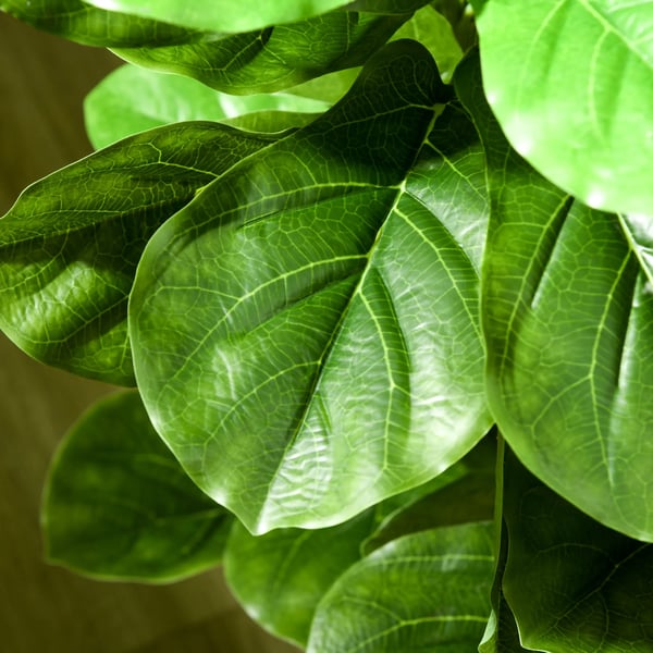 Ficus konstväxt - Konstgjort träd - 110 cm - 90 blad - Med kruka - För utomhusbruk - Plast - Ljusgrön