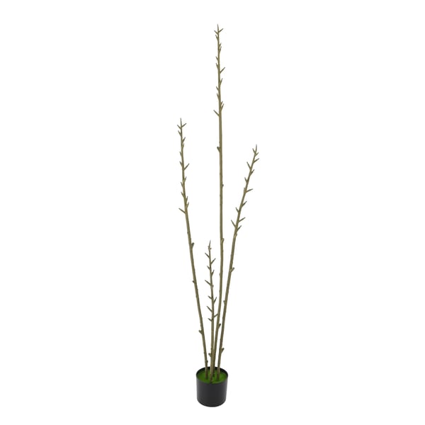 Kunstig violinfigen - Træ 180 cm - Ficus lyrata - Udendørs/indendørs - Vedligeholdelsesfri - PE-blade, jern, cementfod - Med sort potte - Grøn