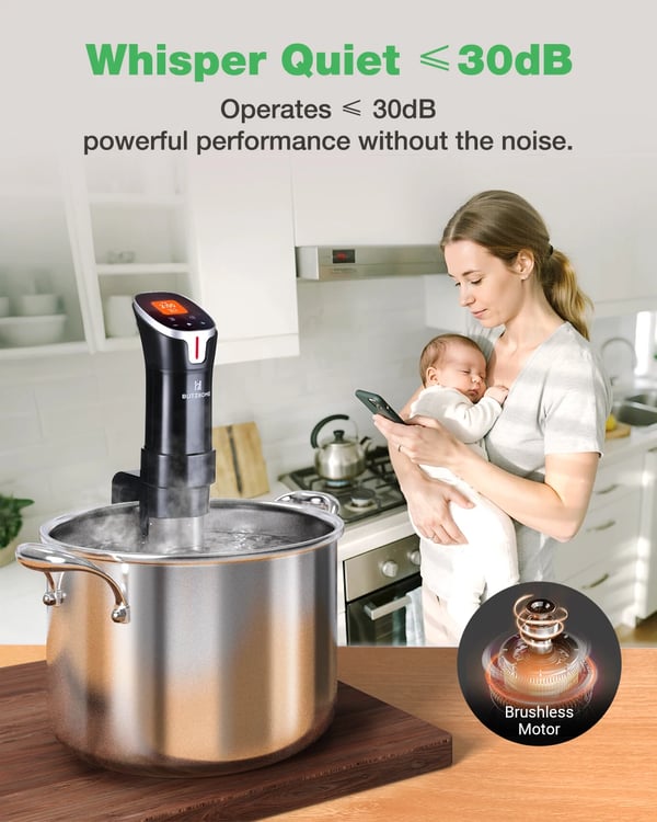 SV2401C - Sous Vide Stav - WiFi & App-styring - Farve-touchskærm - 1100 W - EU-stik - Sort