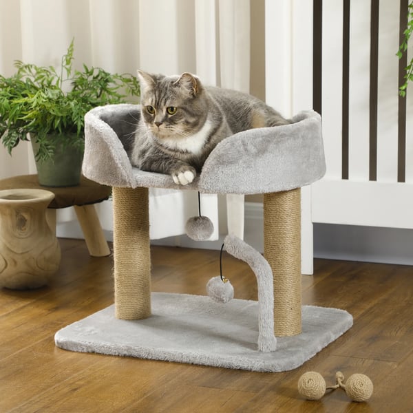 Kattklösträd - Katträd - Fyra nivåer - För små katter - Sovkoja & hängande bollar - Sisalstolpar - Mått 48×38×42 cm - Vit