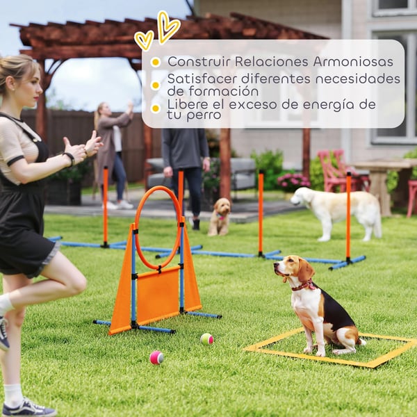 Hundagilityset - Agilityutrustning - 6 delar - Hopp, slalom, pausbox, visselpipa, bollar - ABS/PE - 348x66x69 cm - Orange