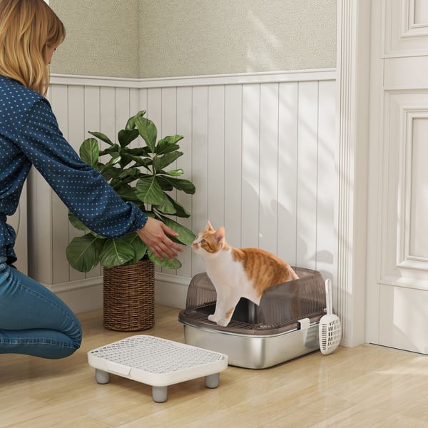 Kattlåda - Med lock - Bricka i rostfritt stål, ABS - Höga kanter - Spade ingår - Steg och sandavskiljningsyta - 53×42×27 cm - Grå