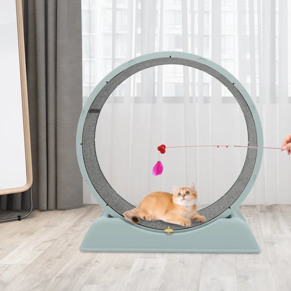 Katte Løbehjul - Træningshjul - Diameter 80 cm - Str. L - Enkelt Lag - Til Indendørs Brug - Harpiks & PP - Blå