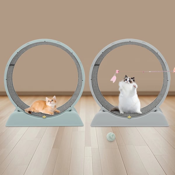 Katte Løbehjul - Træningshjul - Diameter 80 cm - Str. L - Enkelt Lag - Til Indendørs Brug - Harpiks & PP - Blå