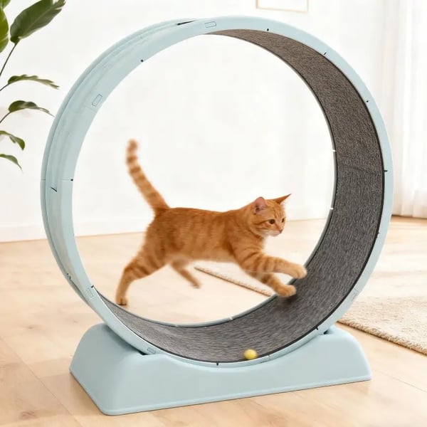 Katte løbehjul - Indendørs træningshjul - Støjsvag - Høj bæreevne 10 kg - Afrundede hjørner - Sikkerhedslås - Blå