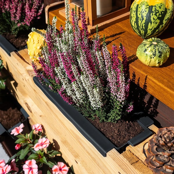 Europalle Krukke - Plantekasse til EUR-palle - 40,5 cm - Plast - 6 stk - Sort
