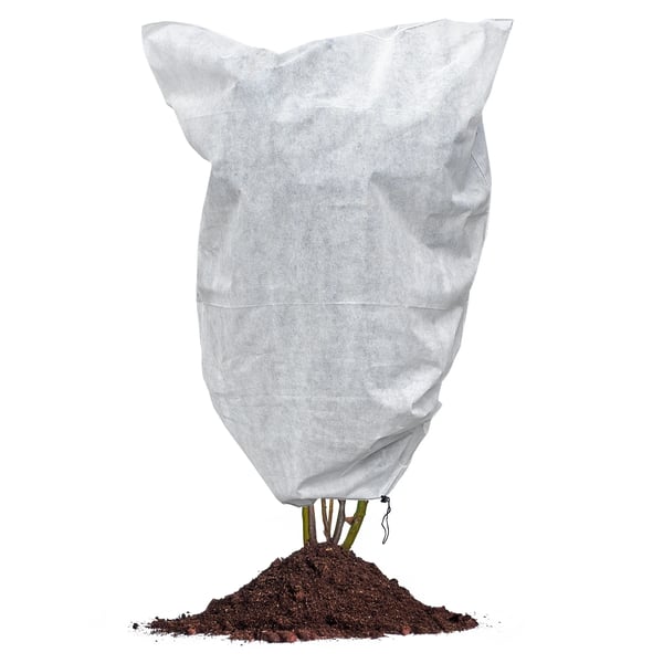 Planteovertræk - Beskyttelseshætte - 2 x 2,4 m - Plastik - Med snøre - Hvid
