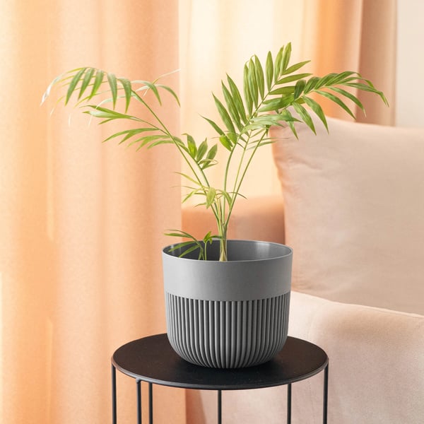 Ornon - Blomsterpotte/Plantepotte - Plastik - Moderne design - 11 cm - Til blomster og grønne planter - Mørkegrå
