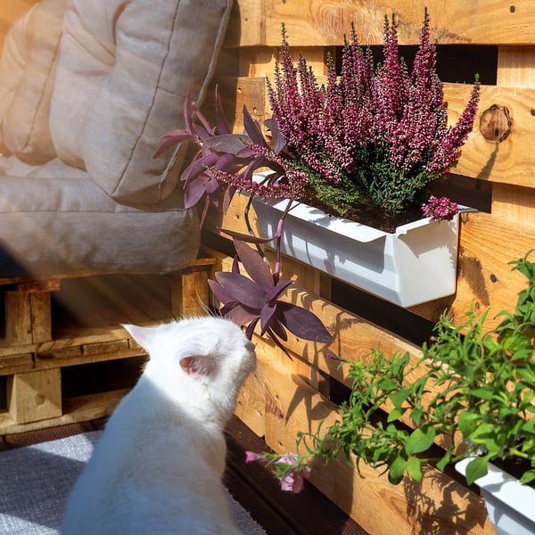 Blomsterkrukke til europalle - Plantekrukke - 40,5 cm - Plast - 10-pak - Hvid