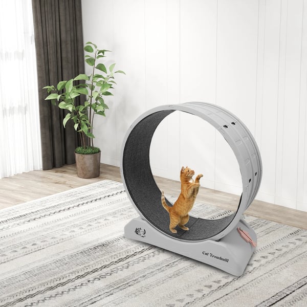 Katteløbehjul - Trænings- & fitnesshjul - 80 cm Diameter - Indendørs - Ridsefast tæppe - Til katte & små kæledyr - Grå