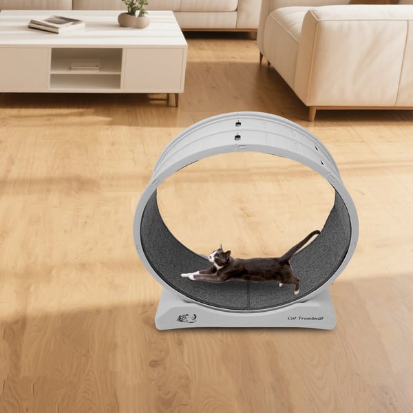 Katteløbehjul - Trænings- & fitnesshjul - 80 cm Diameter - Indendørs - Ridsefast tæppe - Til katte & små kæledyr - Grå