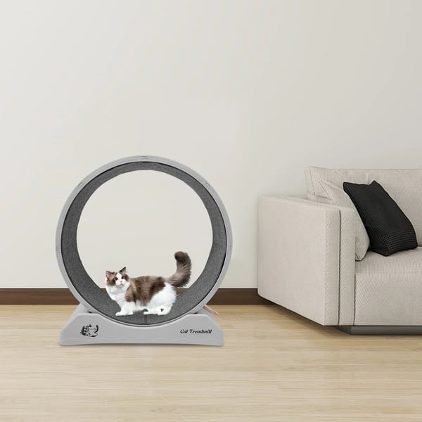 Katteløbehjul - Trænings- & fitnesshjul - 80 cm Diameter - Indendørs - Ridsefast tæppe - Til katte & små kæledyr - Grå