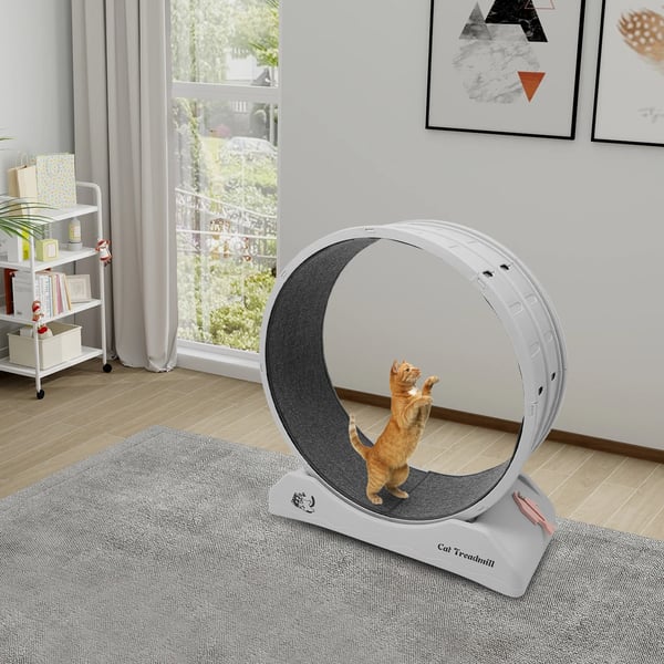 Katteløbehjul - Trænings- & fitnesshjul - 80 cm Diameter - Indendørs - Ridsefast tæppe - Til katte & små kæledyr - Grå