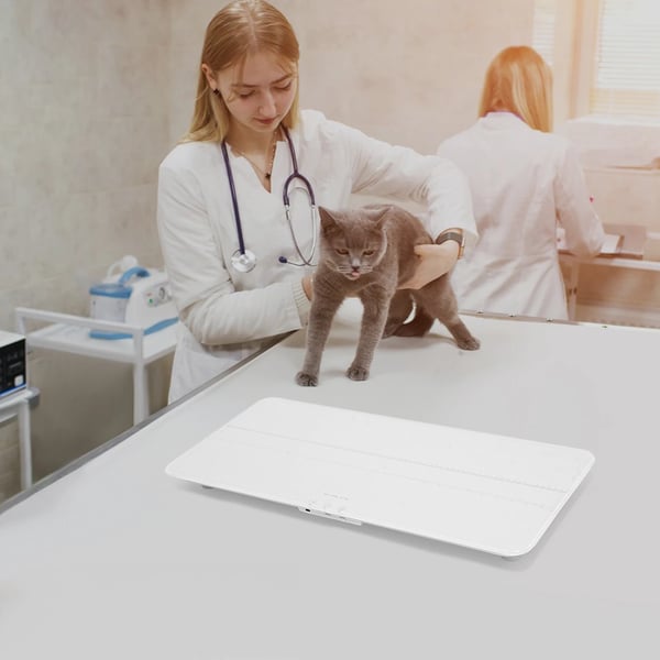 Kæledyrs- og postvægt - Elektronisk digital fragtvægt - 100 kg kapacitet - LCD-skærm - Hærdet glas & ABS-platform - Hvid