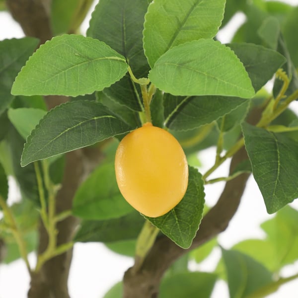 Kunstigt citrontræ - Træ i potte - Gulvplante - Udendørs dekoration - Til forlovelse & udstilling - Grøn