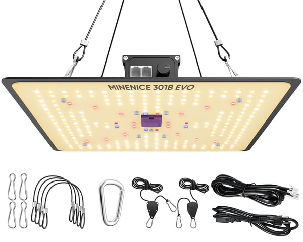 P1000 - LED Kasvivalo Grow Light - Täysspektri - Daisy Chain Useita Lamppuja - Himmennettävä 0–100% - 2 Koukkua - Sisäviljelyyn - Musta