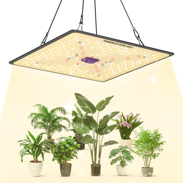 P1000 - LED Kasvivalo Grow Light - Täysspektri - Daisy Chain Useita Lamppuja - Himmennettävä 0–100% - 2 Koukkua - Sisäviljelyyn - Musta