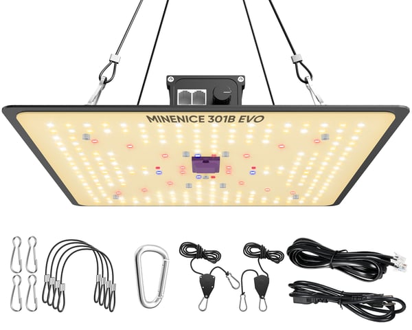 P1000 - LED Kasvivalo Grow Light - Täysspektri - Daisy Chain Useita Lamppuja - Himmennettävä 0–100% - 2 Koukkua - Sisäviljelyyn - Musta